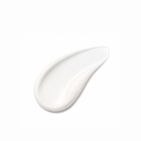 Protector Solar Birch Juice Moisturizing Tone Up Sunscreen